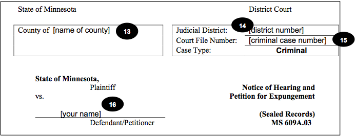 Minnesota Expungement Petition